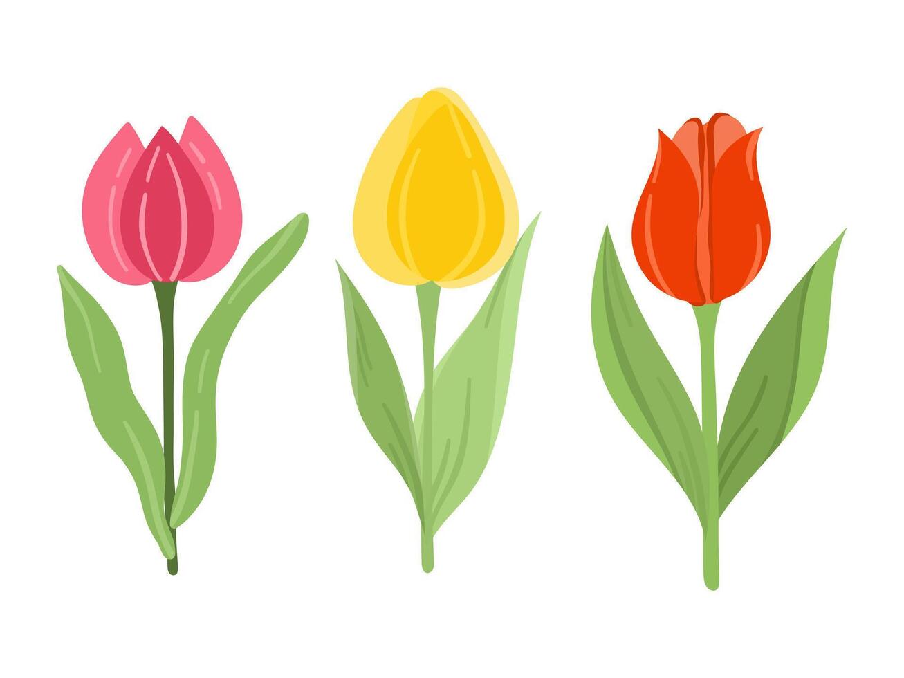 Set of different colorful flowers illustration in cartoon. Spring cute flowers vector