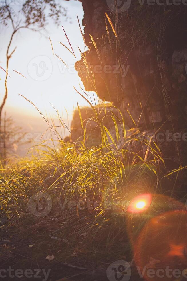A person sitting on a rock with a backpack photo