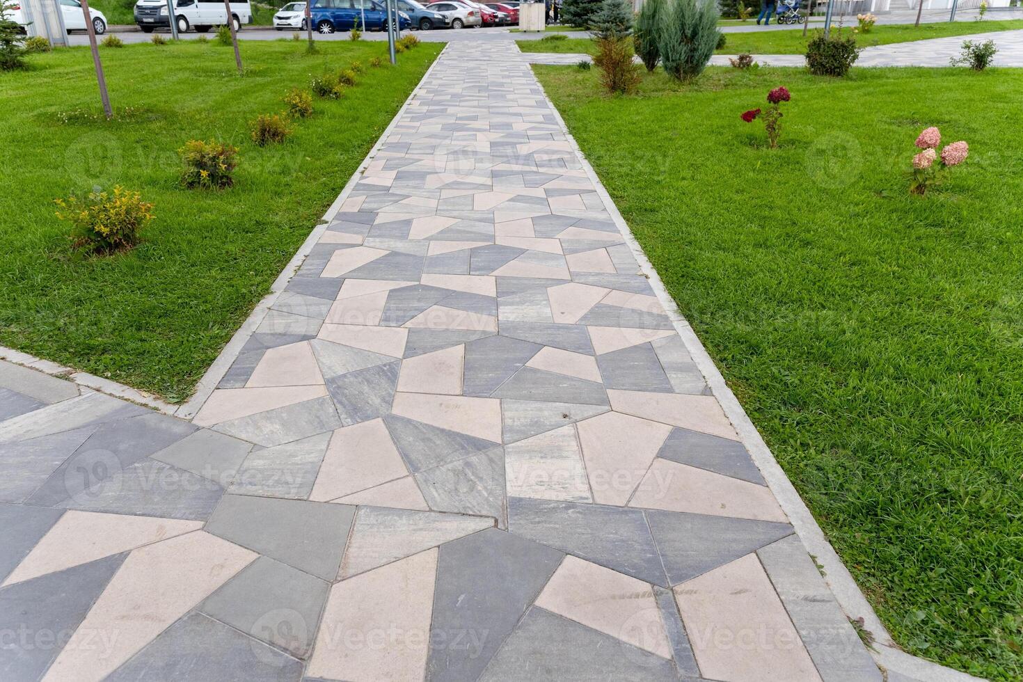 A walkway with a lot of grass and trees photo