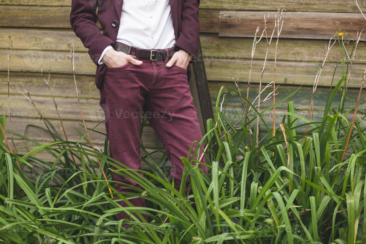 A man in a suit standing in a field of tall grass photo