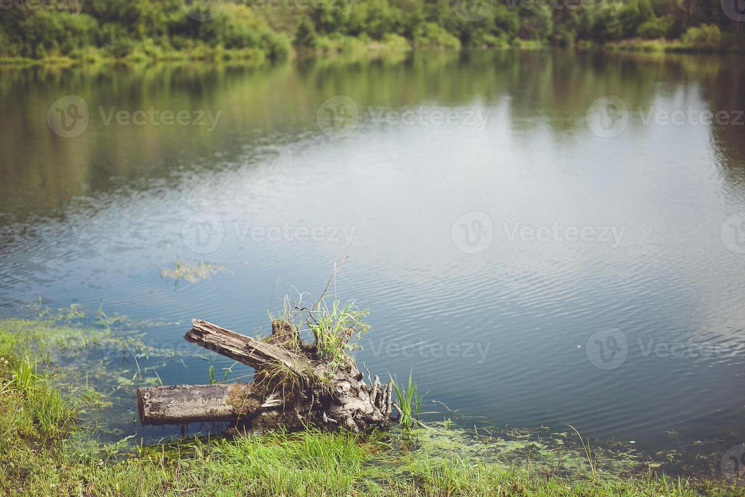 A bench sitting on the edge of a lake photo