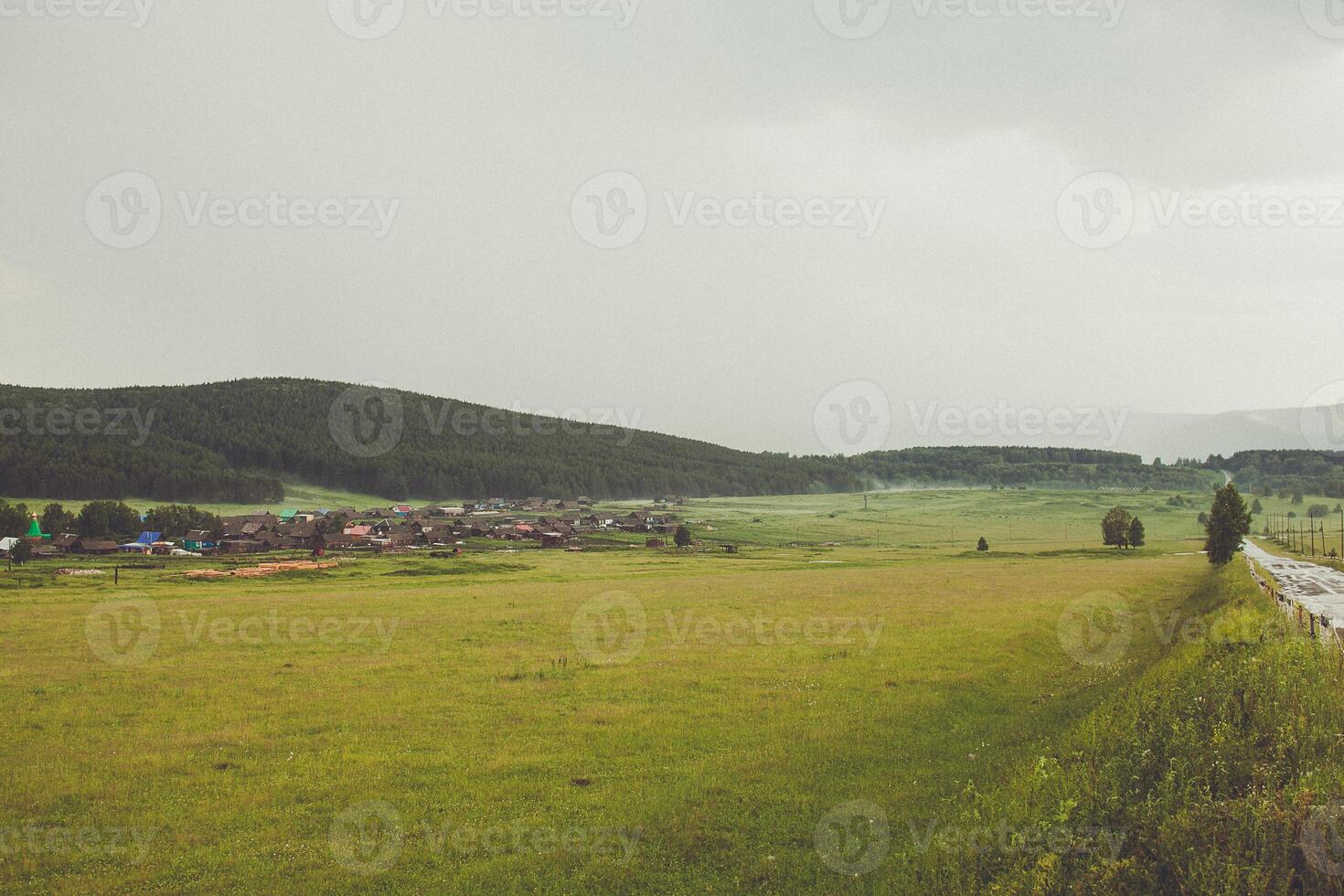 A train is traveling through a field photo