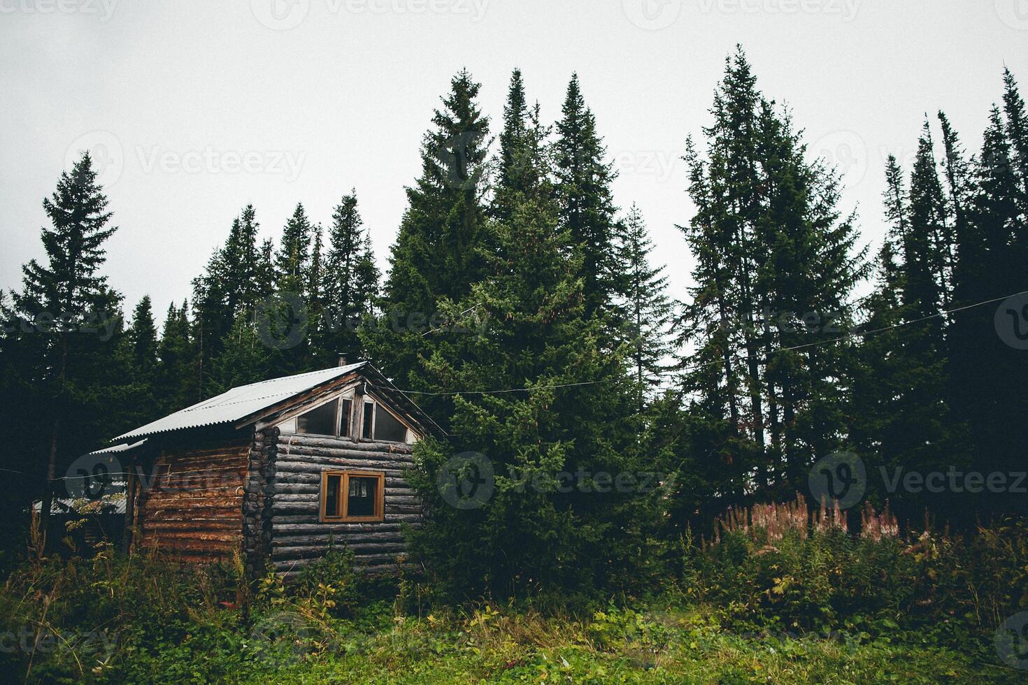 An old wooden cabin in the woods photo