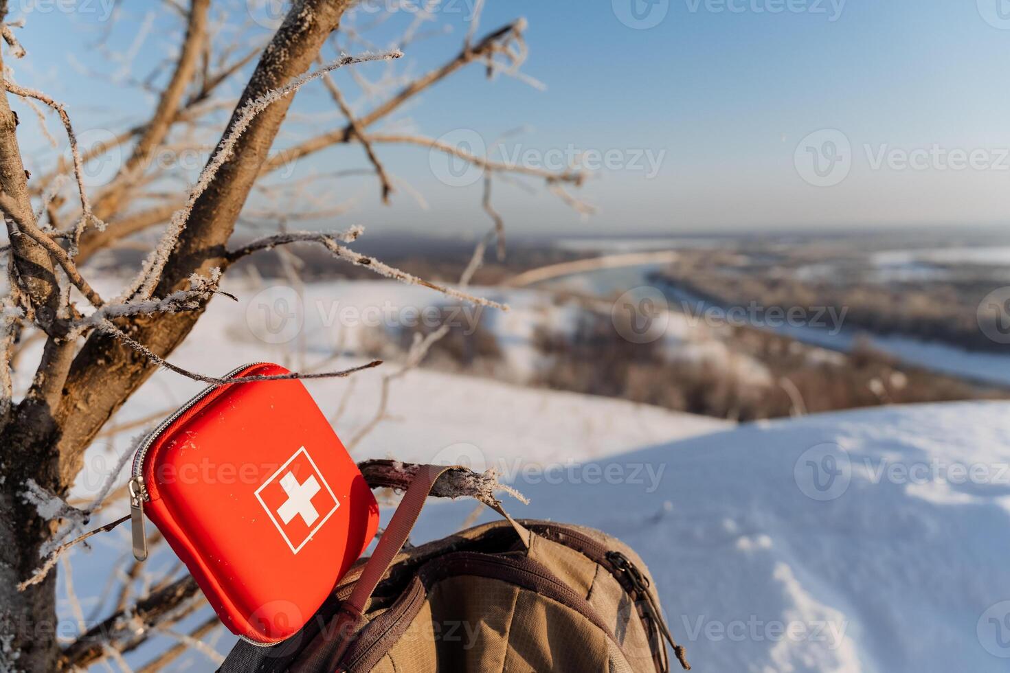 A red first aid kit on a tree branch photo