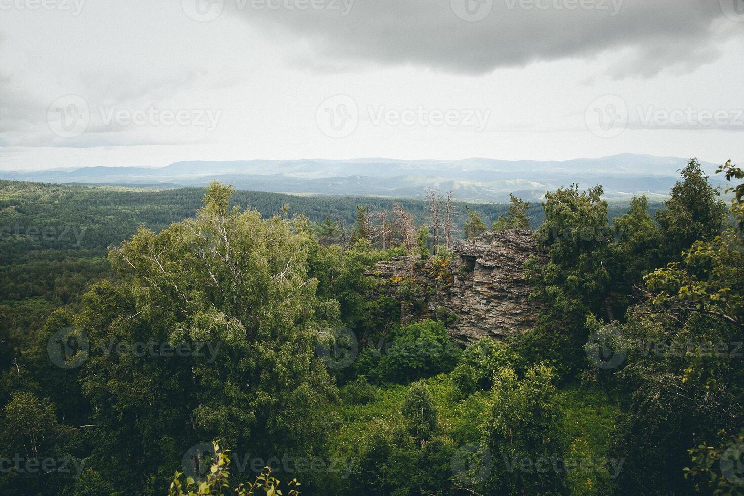 A view of the forest from a hill photo