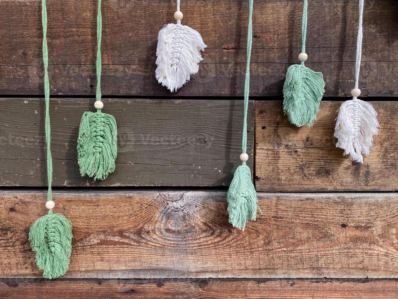 Four green and white feathers hanging from wooden hooks photo