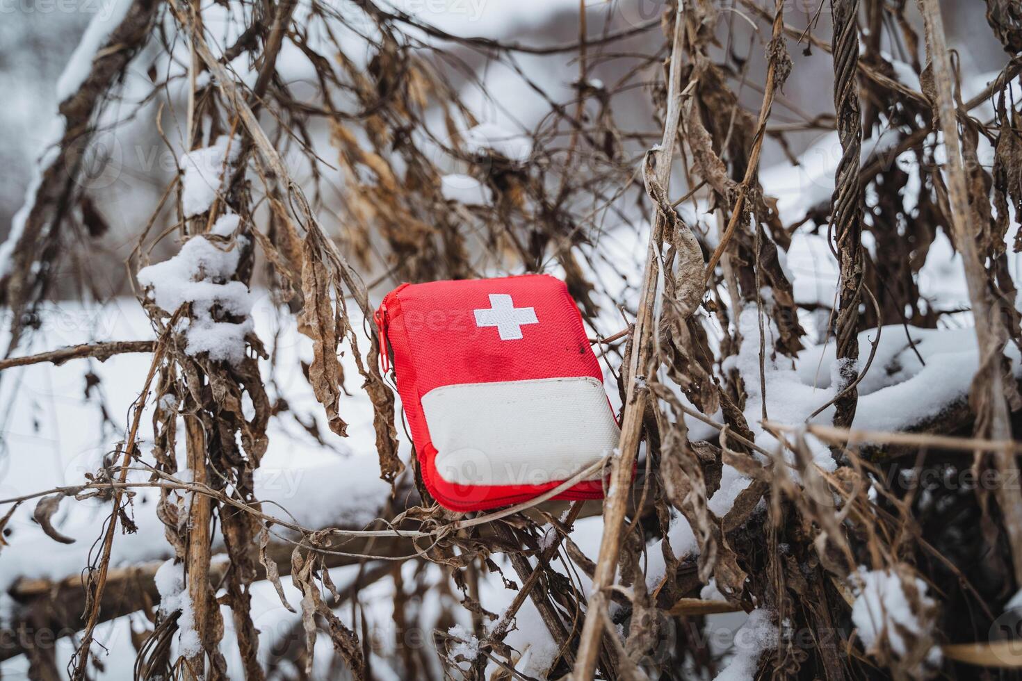 A red first aid kit sitting on a branch in the snow photo