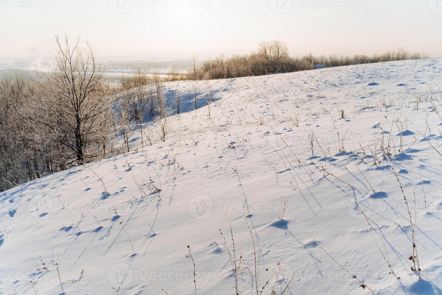 A snowy hill with bare trees and grass photo