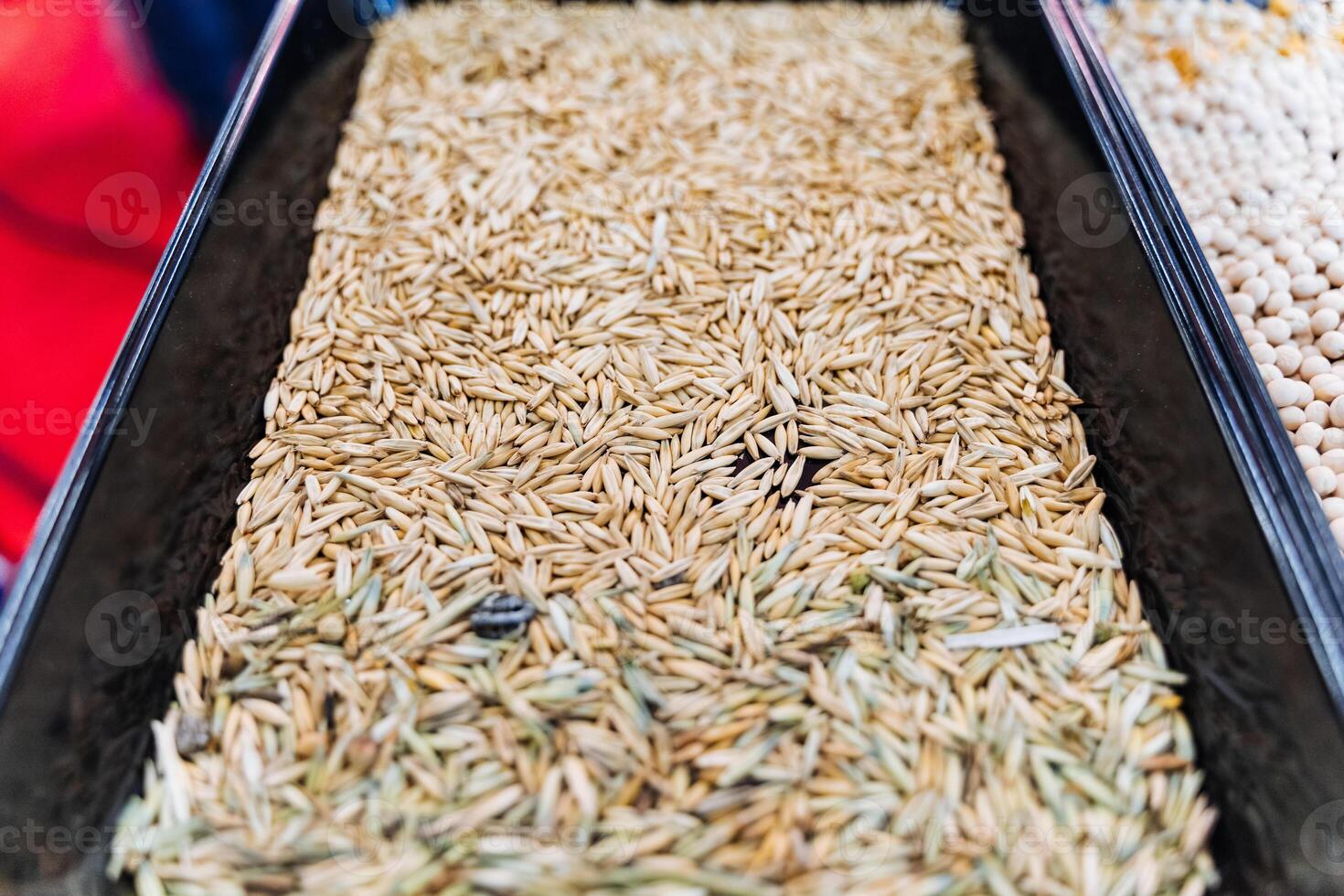 A tray of grains and seeds on display photo