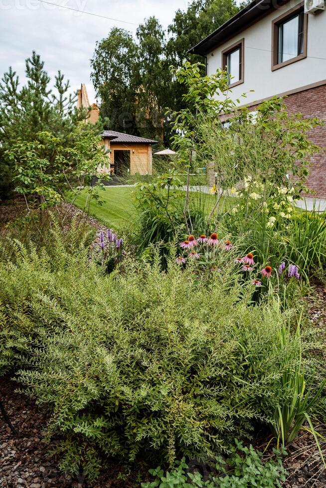 A large green bush photo