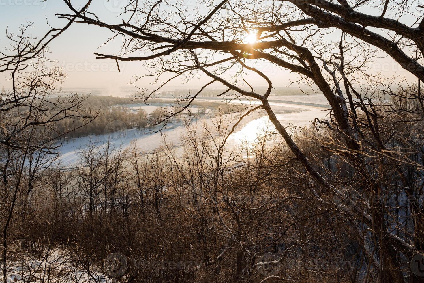 A view of a river and trees from a hill photo