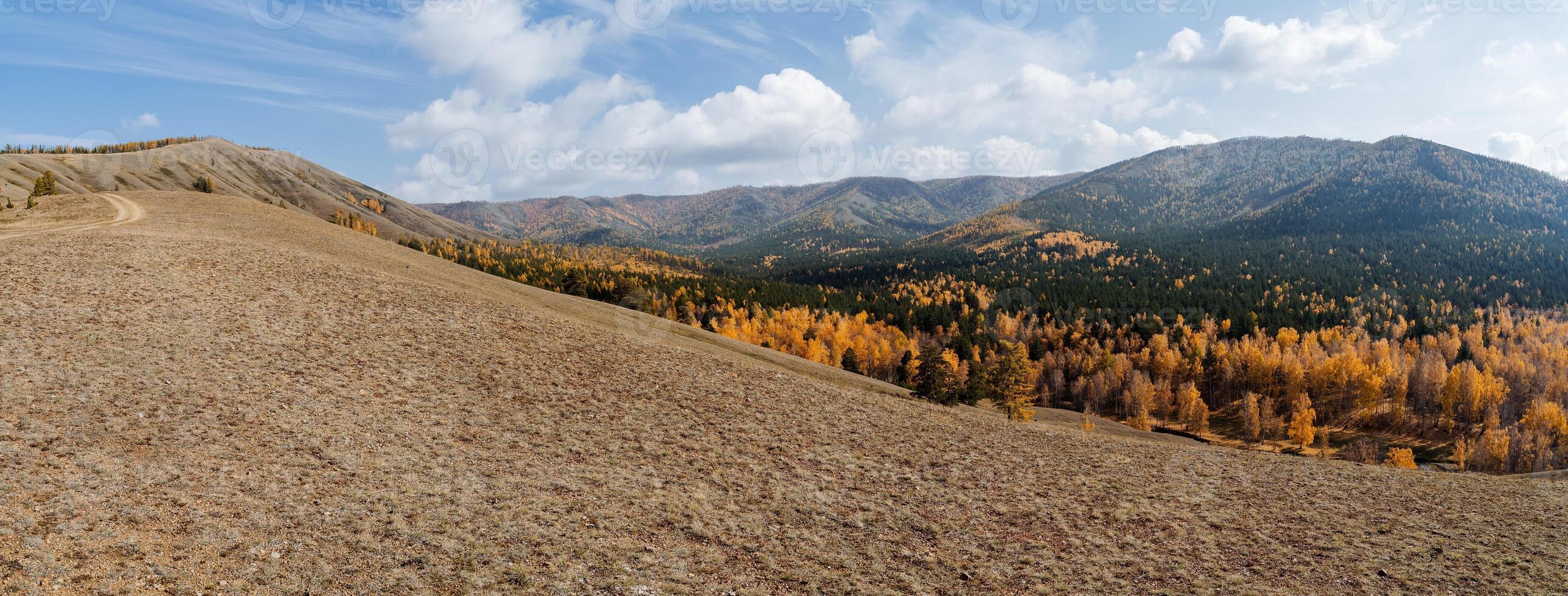 A view of a mountain range with trees and grass photo