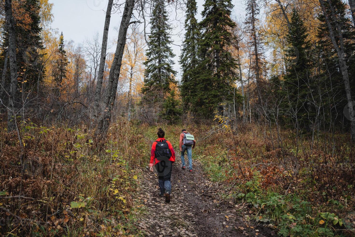 Two people walking on a trail in the woods photo