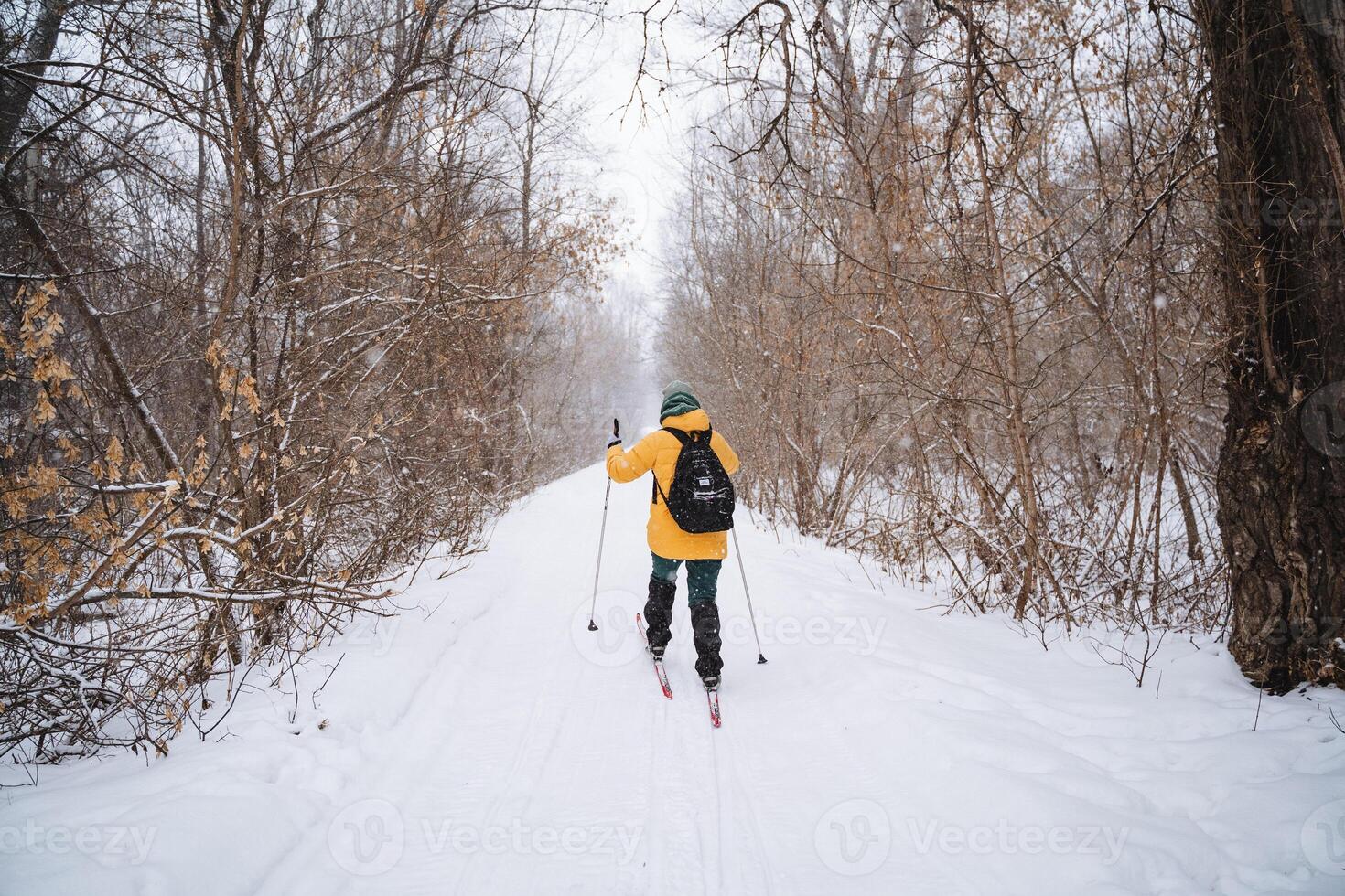A person in a yellow jacket is cross country skiing photo