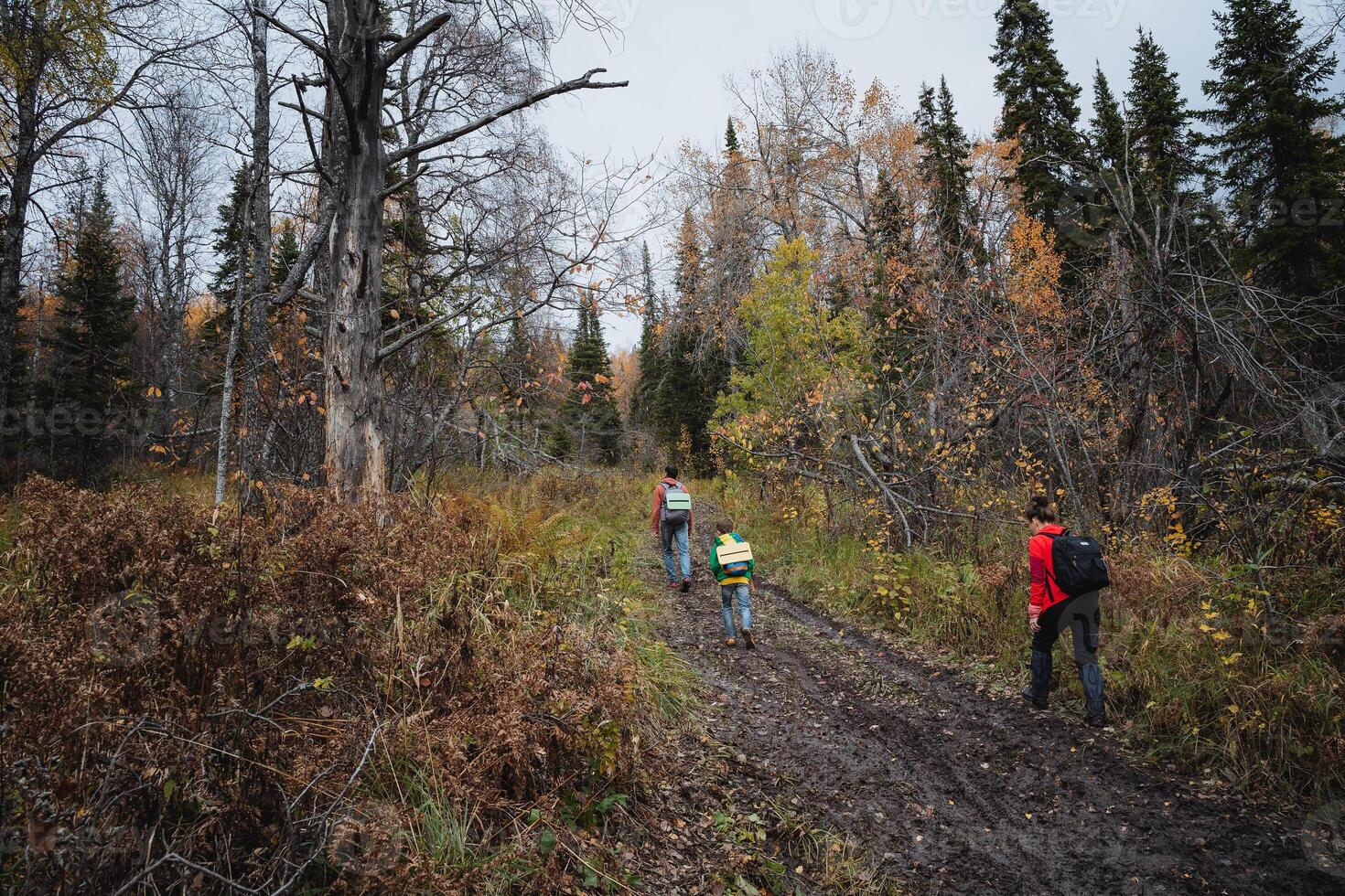 A group of people walking on a trail in the woods photo