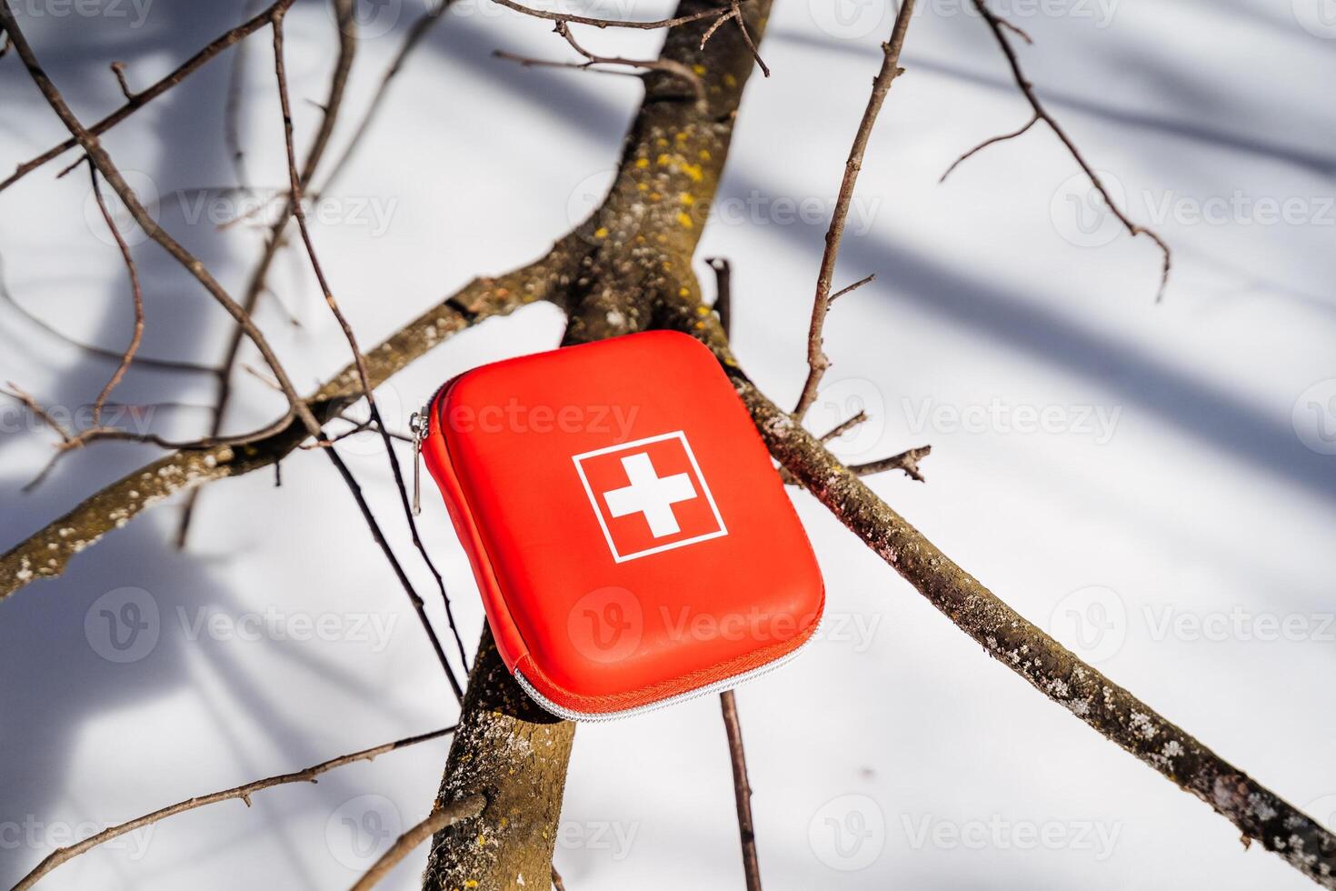 A red first aid kit on a tree branch photo