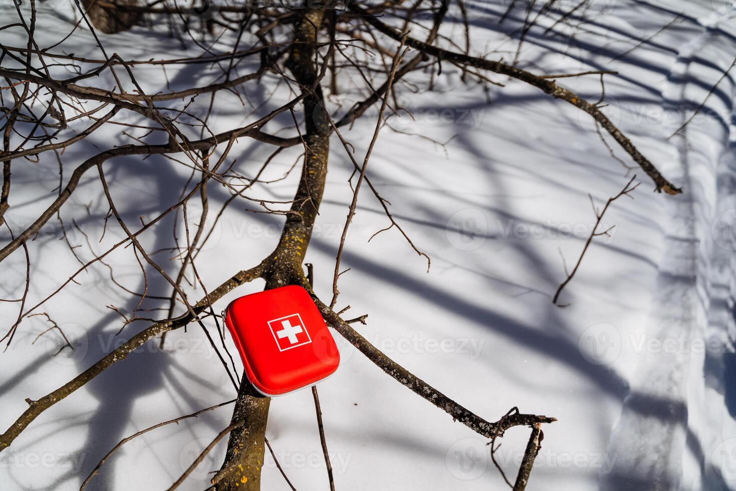 A red first aid kit on a tree branch photo