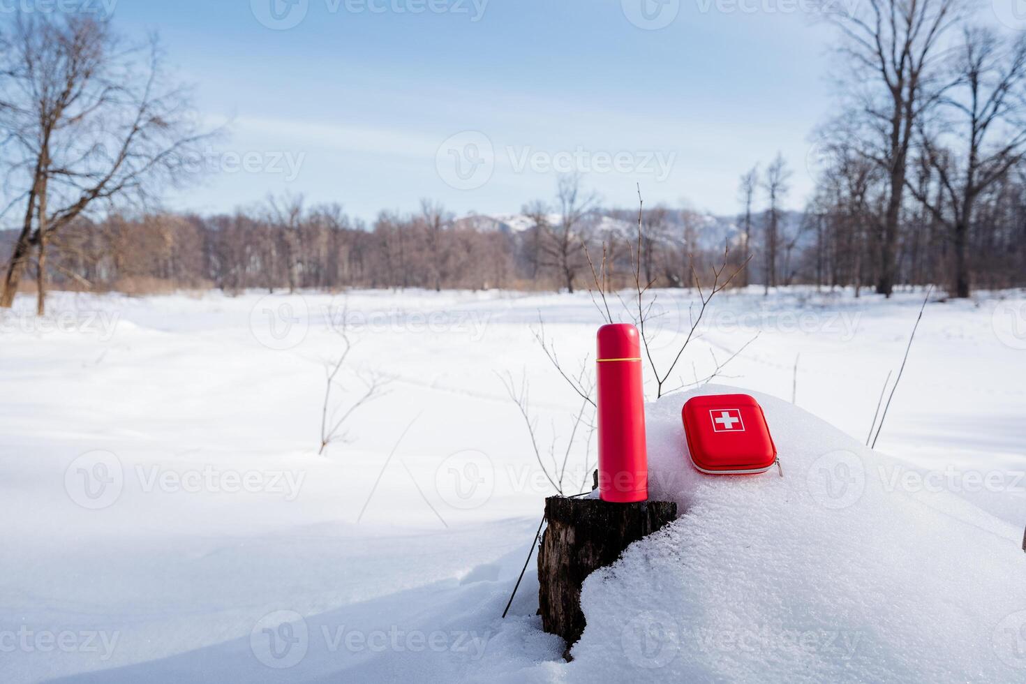 A red and white object sitting on a snow covered stump photo