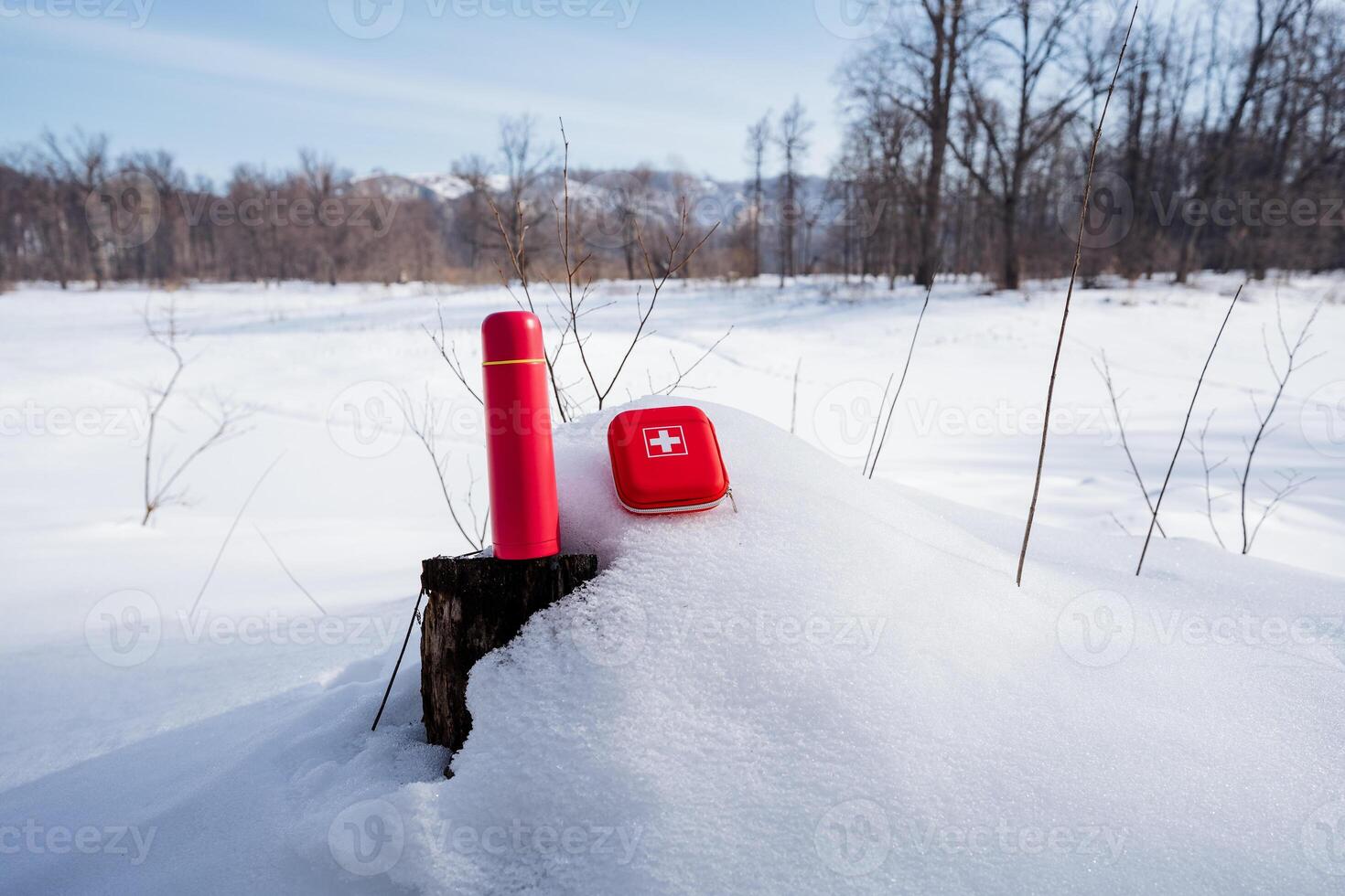 A red and white object sitting on top of a snow covered stump photo