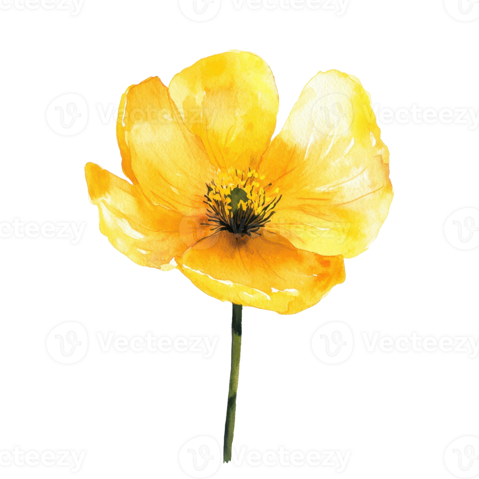 A vibrant yellow flower illustration, capturing the essence of nature's beauty and elegance. Perfect for art and decor projects. png