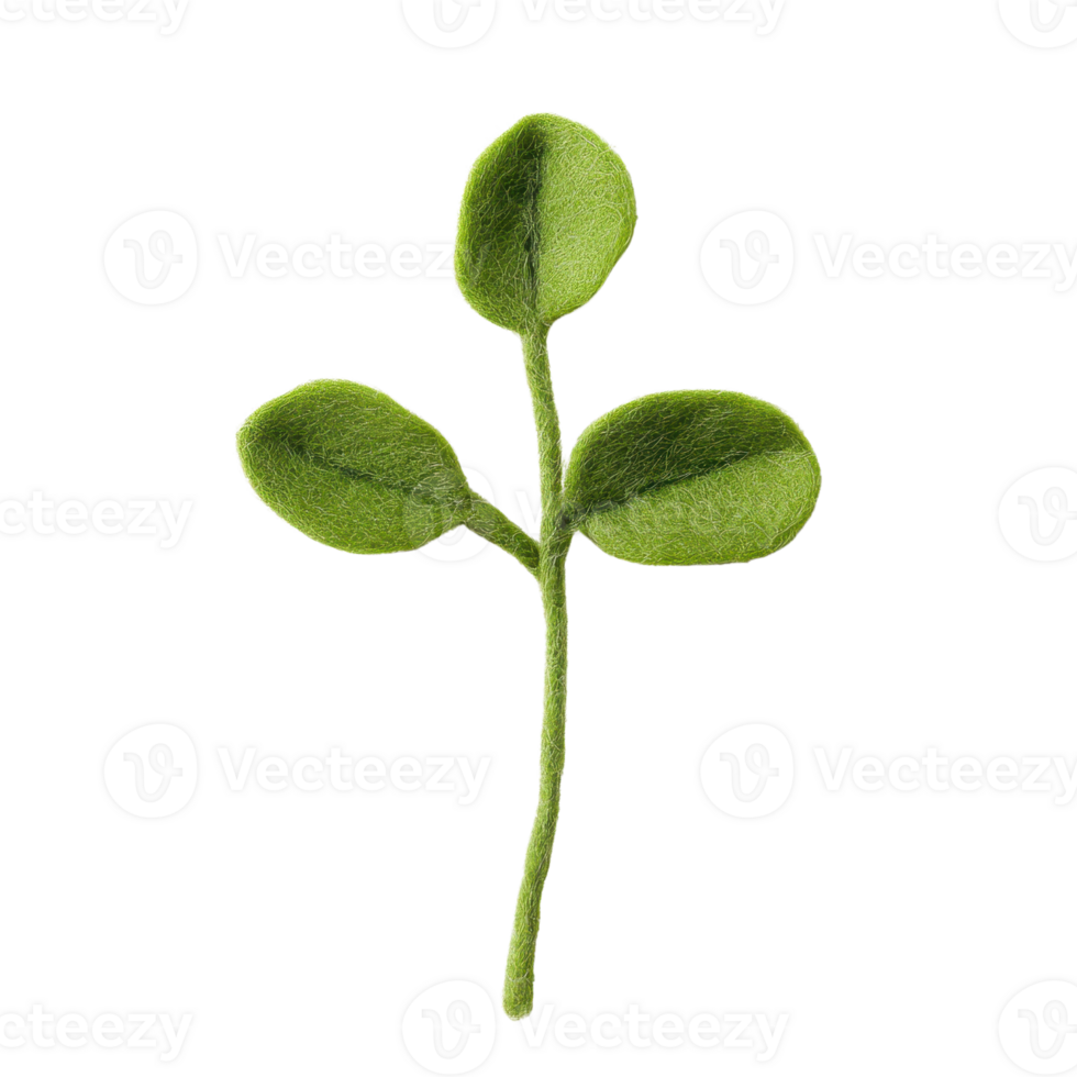Close-up of a green leaf sprout with delicate leaves, symbolizing growth and nature. png