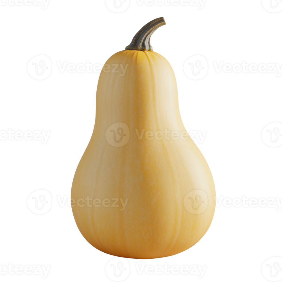 A ripe butternut squash, showcasing its smooth texture and vibrant yellow color, perfect for autumn-themed designs. png