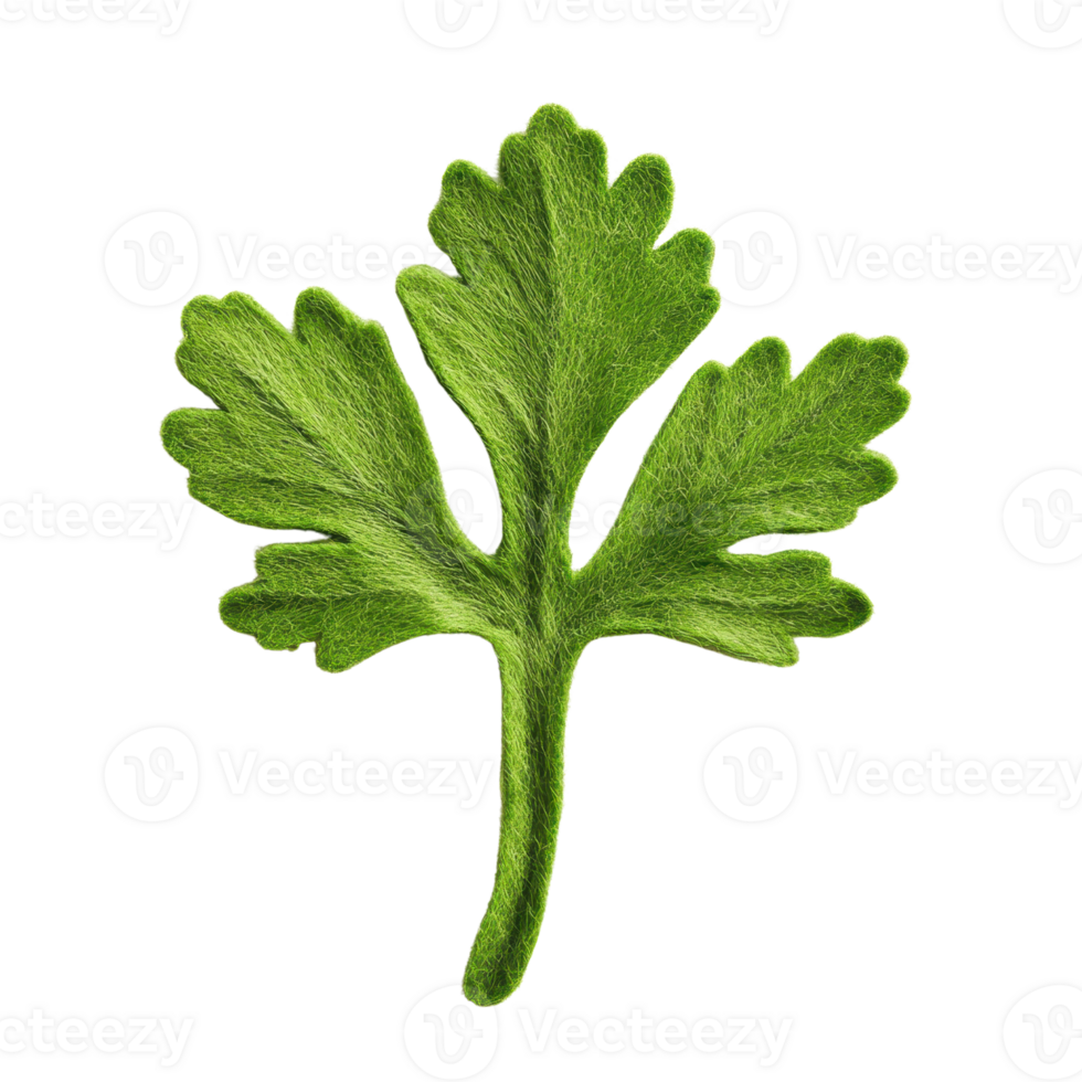 A vibrant green leaf showcasing the fresh and aromatic allure of cilantro, perfect for culinary and culinary-themed designs. png