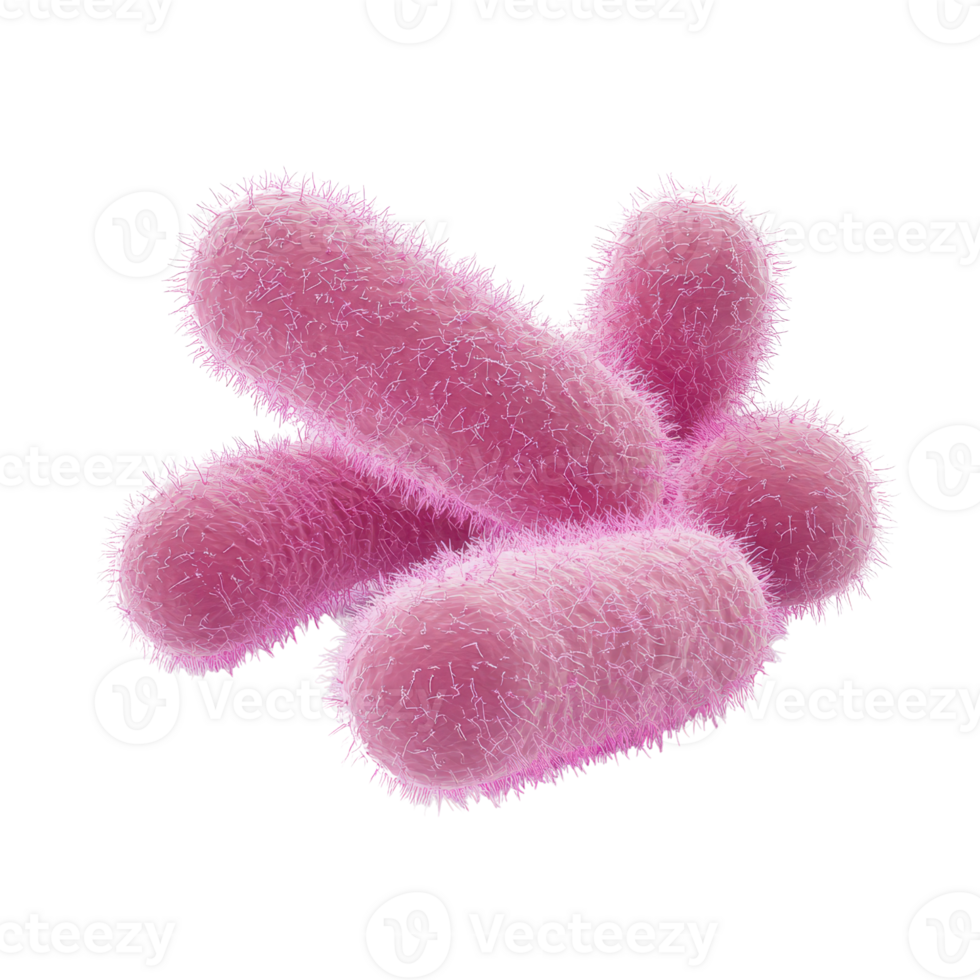 Vibrant pink bacteria illustration, showcasing the unique structure and texture of microorganisms under microscopic view. png