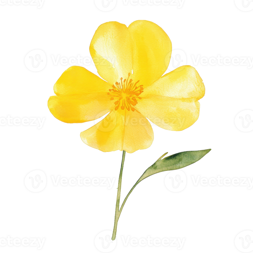 A vibrant yellow flower with five petals and a green leaf, showcasing delicate watercolor details. png