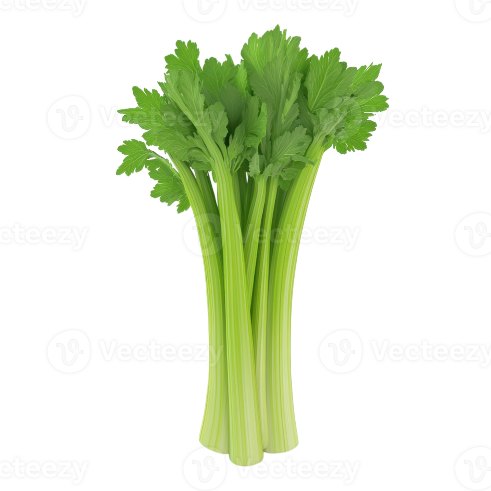 Fresh and vibrant celery with crisp stalks, perfect for salads, snacks, or healthy recipes. A symbol of nutritious eating. png