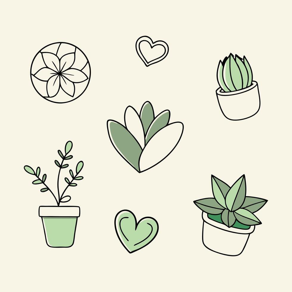 Lovely Illustrations of Succulents in Different Shapes and Sizes Making a Perfect Addition to Your Home Decor with Their Verdant Aesthetic and Cheerful Presence vector