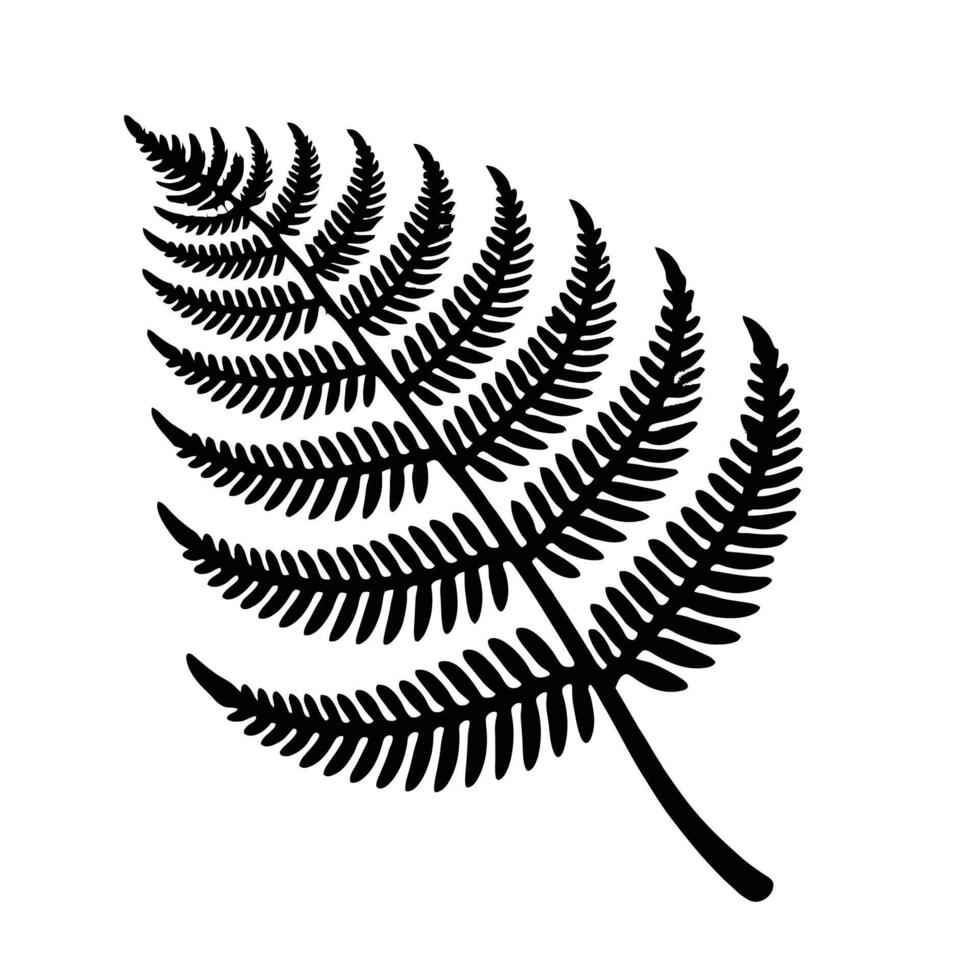 A black and white fern leaf on a white background vector