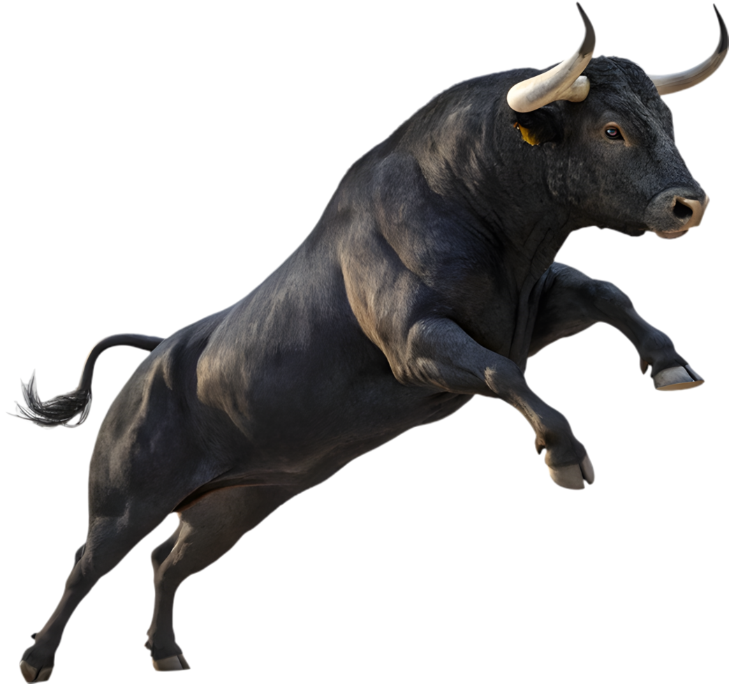 Iconic Spanish fighting bull symbolizing culture and resilience. . png