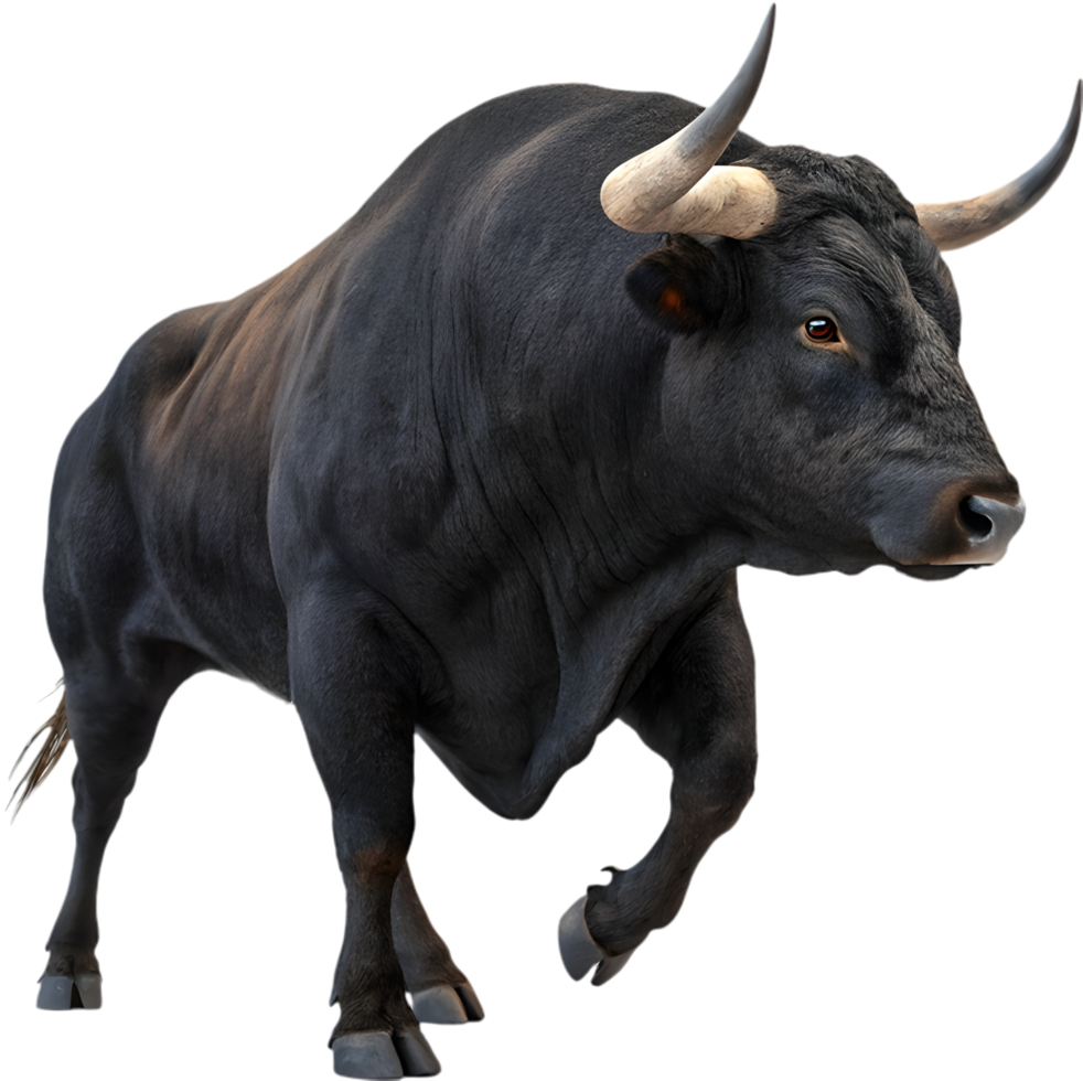 Toro bravo showing traditional grace with powerful resilience. . png