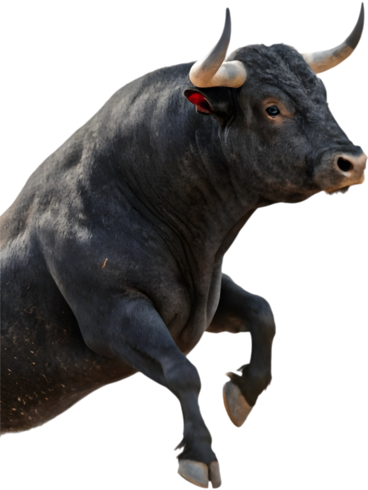 icónico Español toro raza con muscular agraciado postura. . png