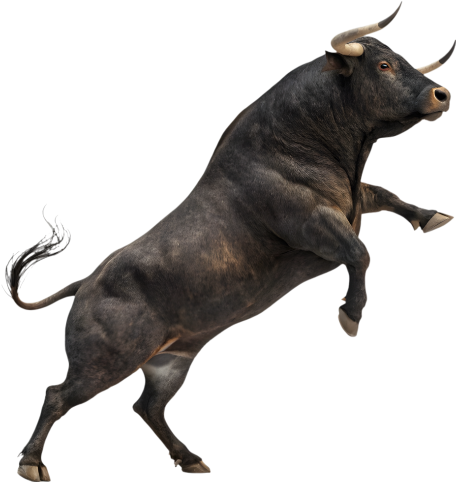 Iconic Spanish bull showcasing energy and fierce resilience. . png