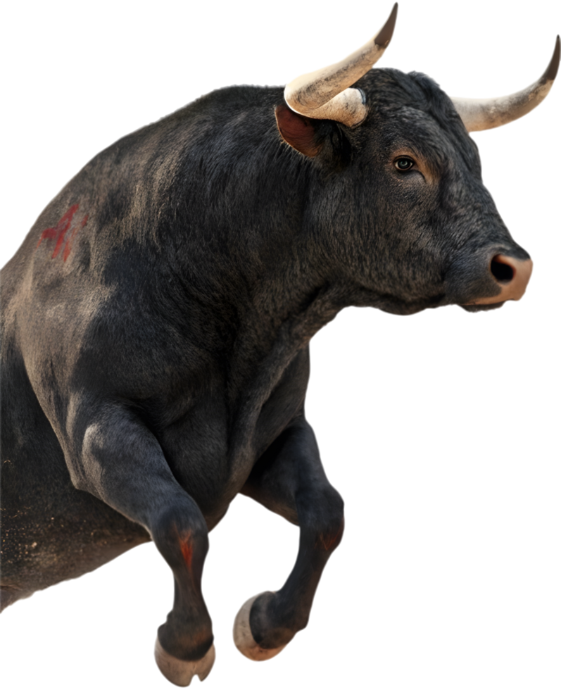 Toro bravo standing powerfully in a bold dramatic stance. . png
