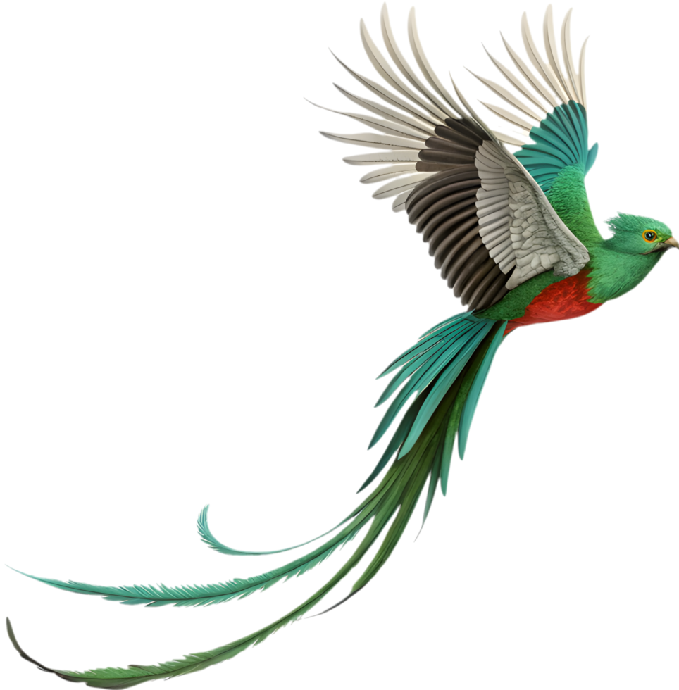 Natural Beauty, Stunning Quetzal Bird with Radiant Colors. . png