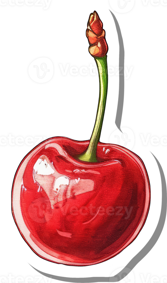 A Single Shiny Red Cherry With Green Stem png