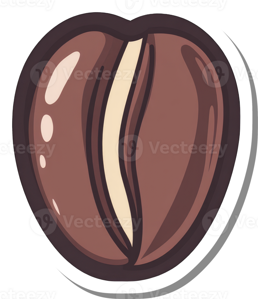 A coffee bean split down the middle showing its inner layers png