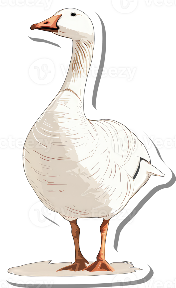 A White Goose Stands on a Light Beige Ground png