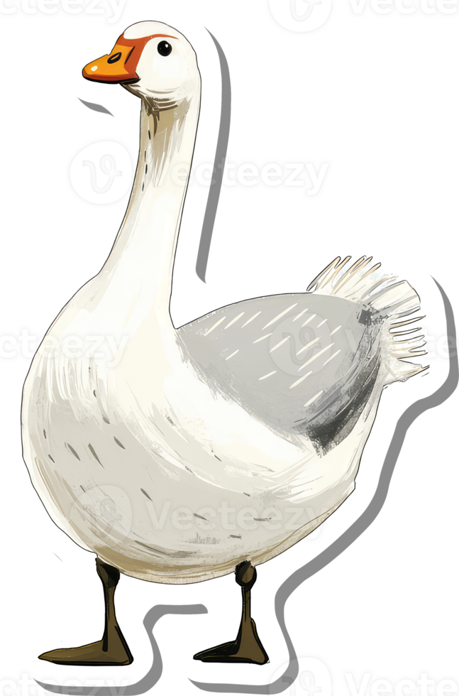 A Domestic Goose Standing Proudly Displayed png