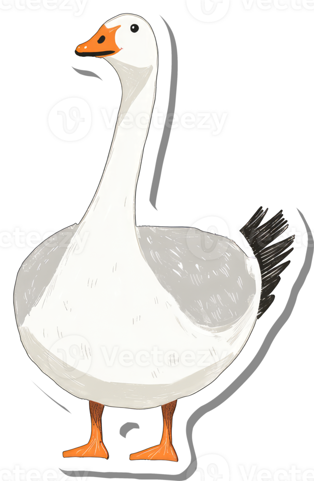 A Domestic Goose Illustration Shows White Plumage And Orange Legs png