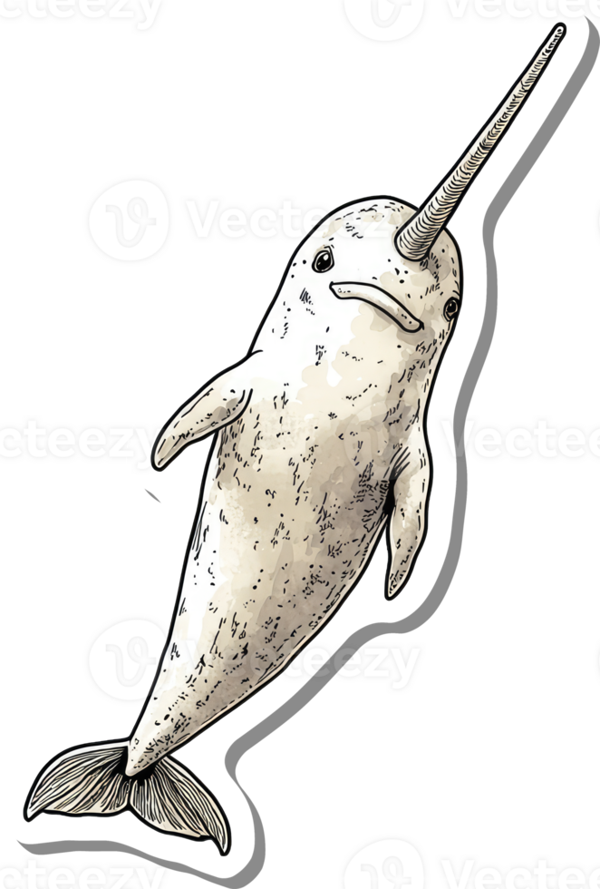 A detailed illustration of a narwhal swimming underwater png