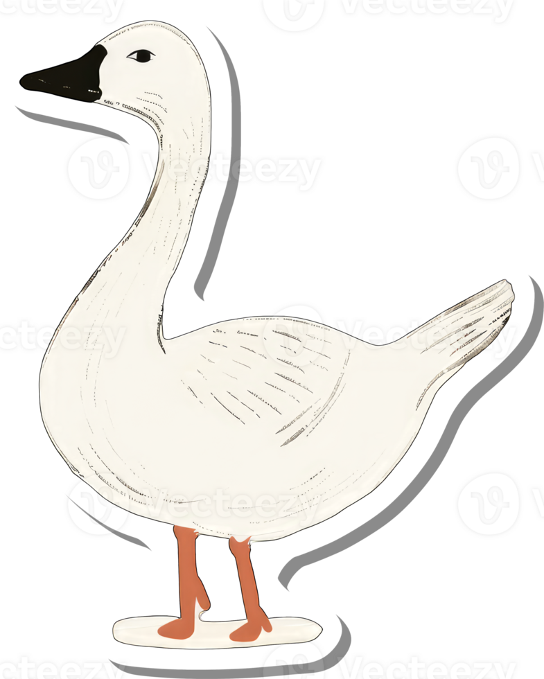 A white goose illustration stands on a white surface png
