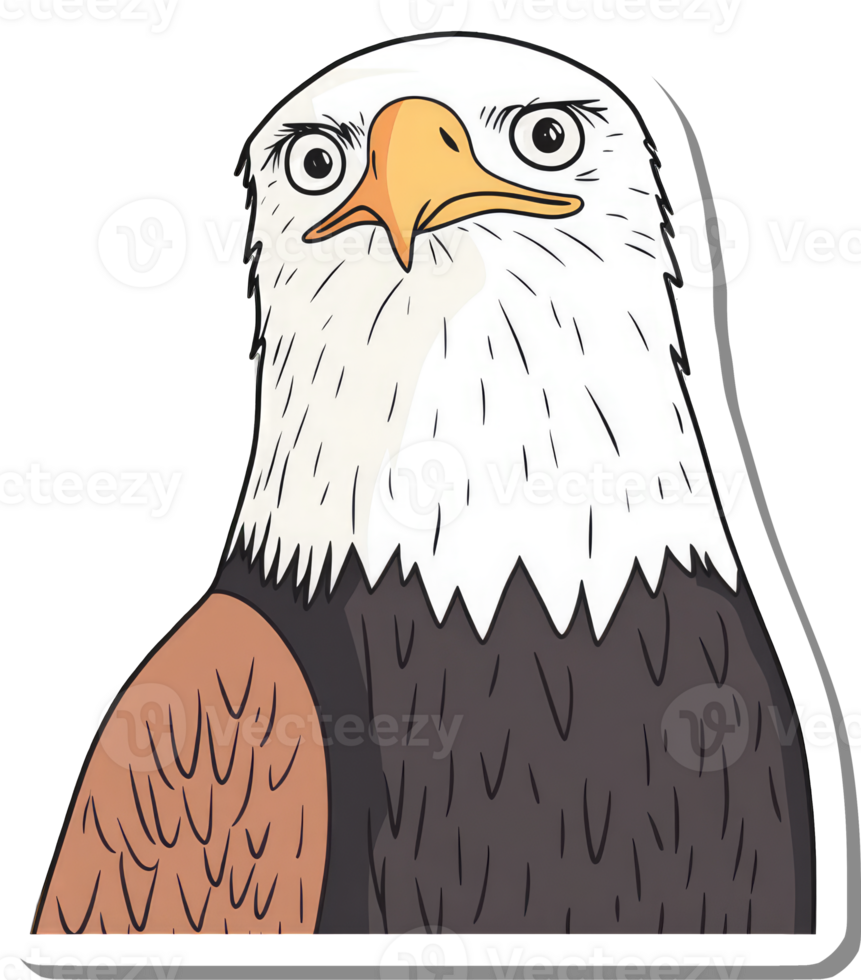 Majestic Bald Eagle Portrait Showing Impressive Detail png
