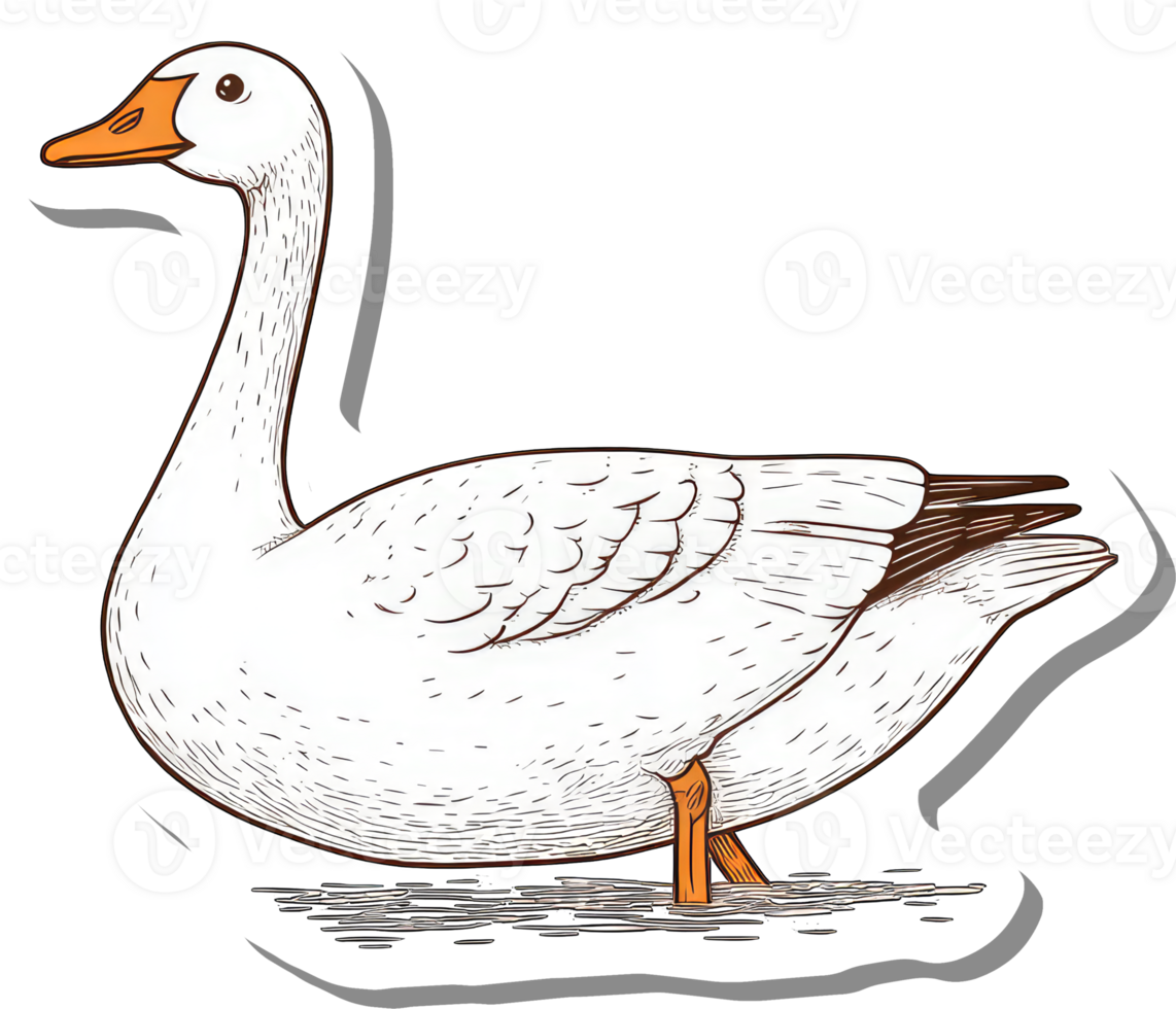 A White Goose Stands Near Water png