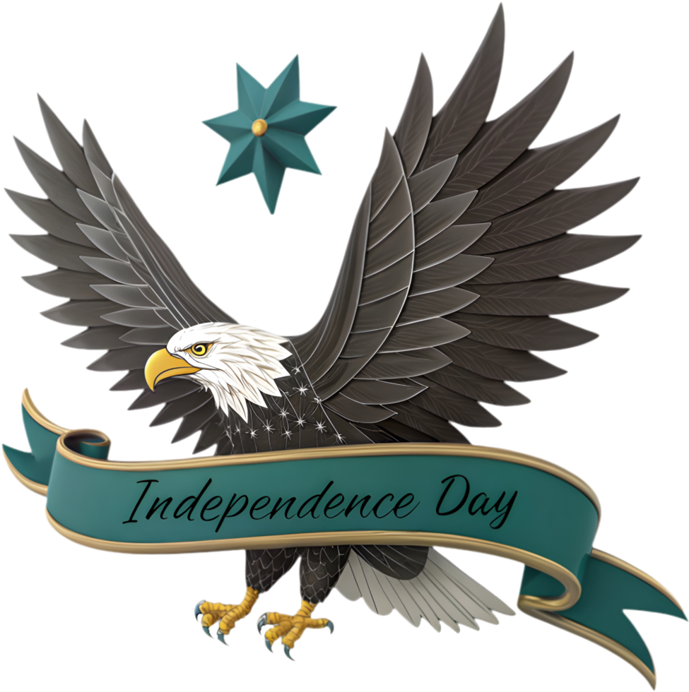 beautiful picture of independence day