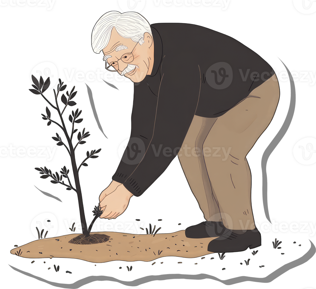 Elderly Man Carefully Planting A Young Sapling Tree png