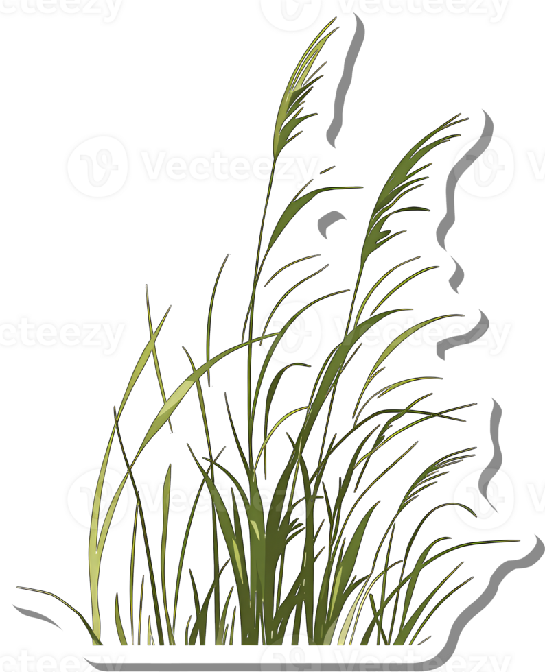 Green Grass Blades Swaying Gently in Breeze png